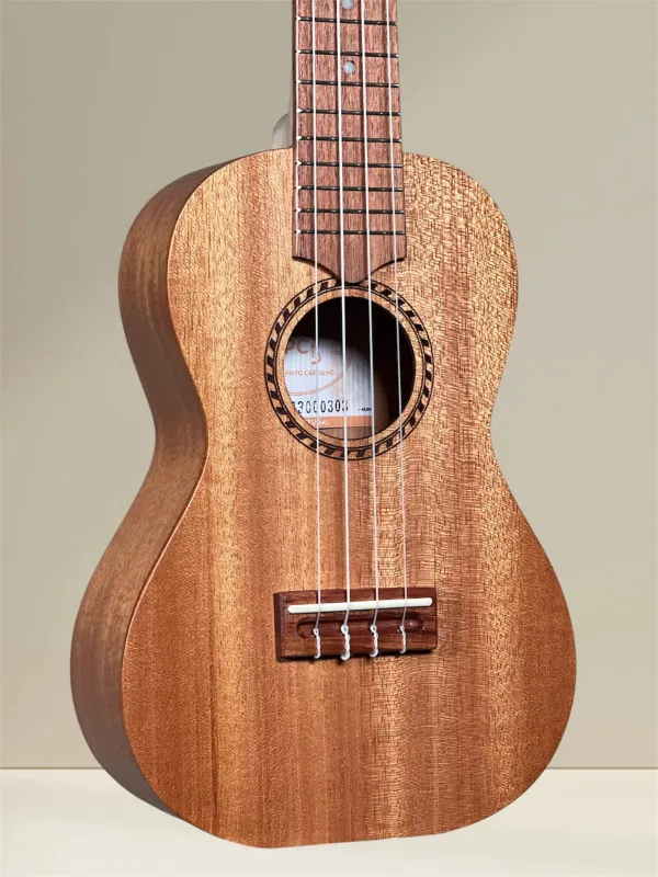 APC CL Simple Concert Ukulele aus massivem Mahagoni - Deckeansicht