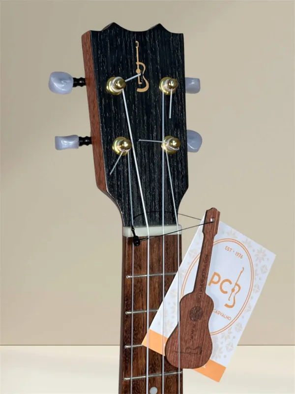 APC CROS ROSACEA Concert Ukulele aus massiver Akazie - Kopfansicht, Logo