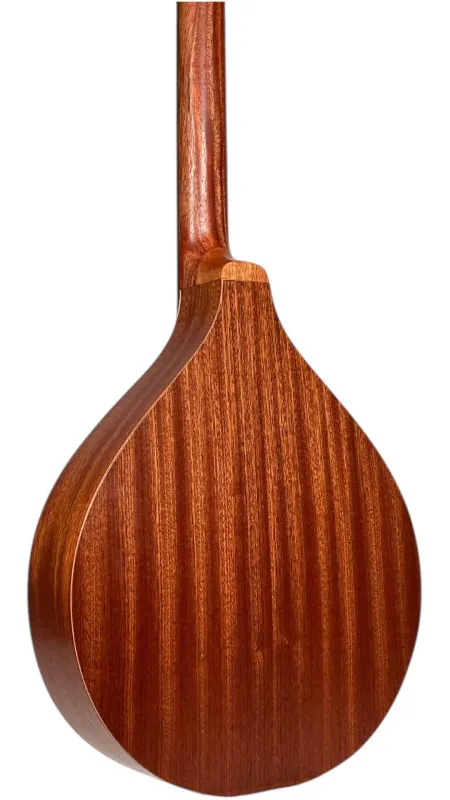 Bodenansicht der APC IRB305 Bouzouki mit Sapelli-Holz