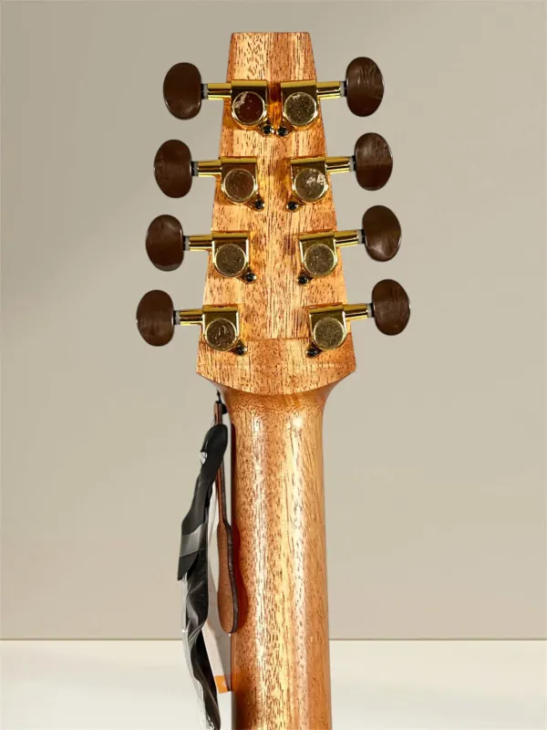 APC IRB312 Artist Irish Bouzouki – Massivholz, Fichte & Palisander, inkl. Koffer - Kopfansicht, hinten