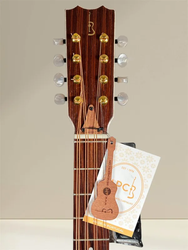 APC MOC312 Oktav-Mandoline – Vollmassiv aus Palisander und Fichte - Kopfansicht von vorne mit Logo