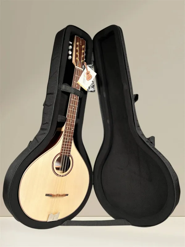 APC MOC312 Oktav-Mandoline – Vollmassiv aus Palisander und Fichte - Ansicht im Koffer
