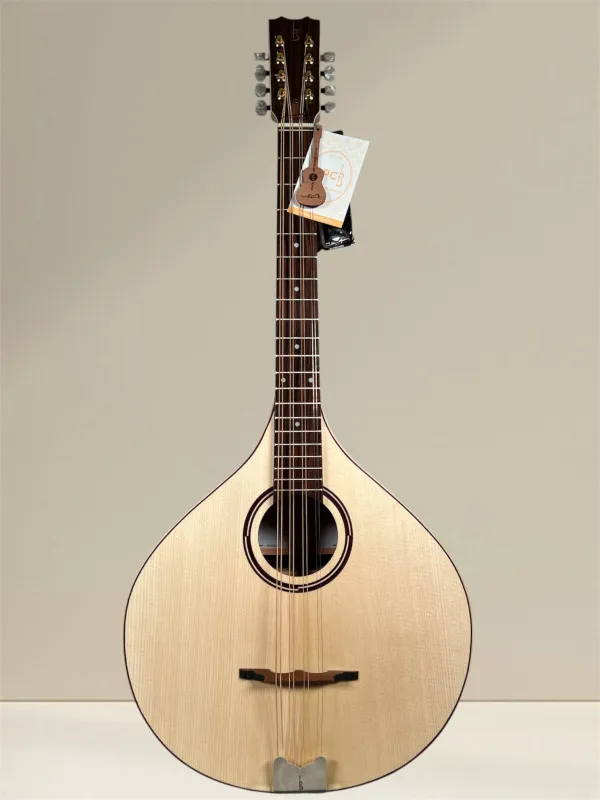 APC MOC312 Oktav-Mandoline – Vollmassiv aus Palisander und Fichte - Vorderansicht