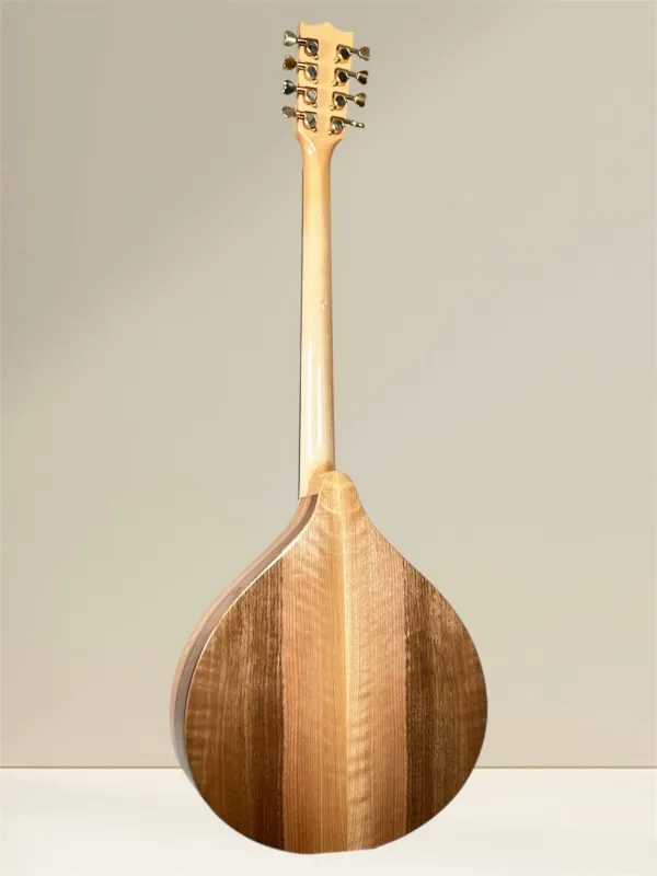 Rückansicht des ARIS Artist Irish Bouzouki mit Fichtendecke