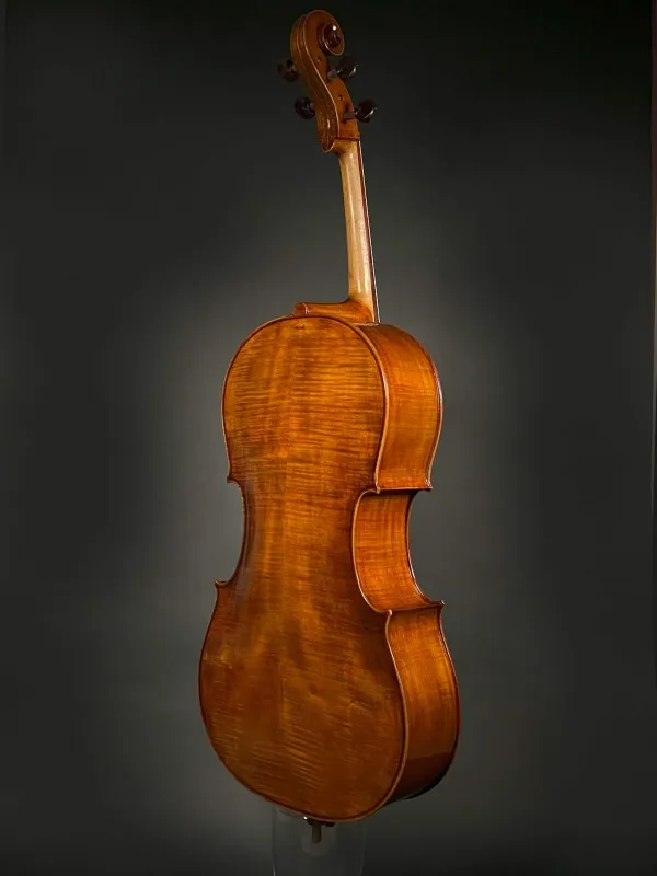 Rueckansicht seitlich eines Orbán Zsolt 4-Saiter Barock Cello (Violoncello) Handarbeit aus Ungarn gebaut 2023