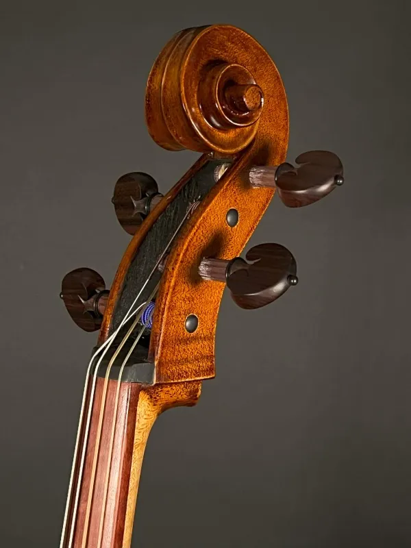 Schneckeansicht vorne seitlich eines Orbán Zsolt 4-Saiter Barock Cello (Violoncello) Handarbeit aus Ungarn gebaut 2023