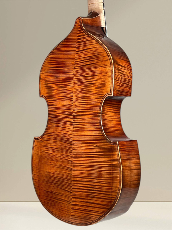 Preview: Bass Viola da Gamba 7-saitig nach Michel Colichon – Bodenansicht seitlich