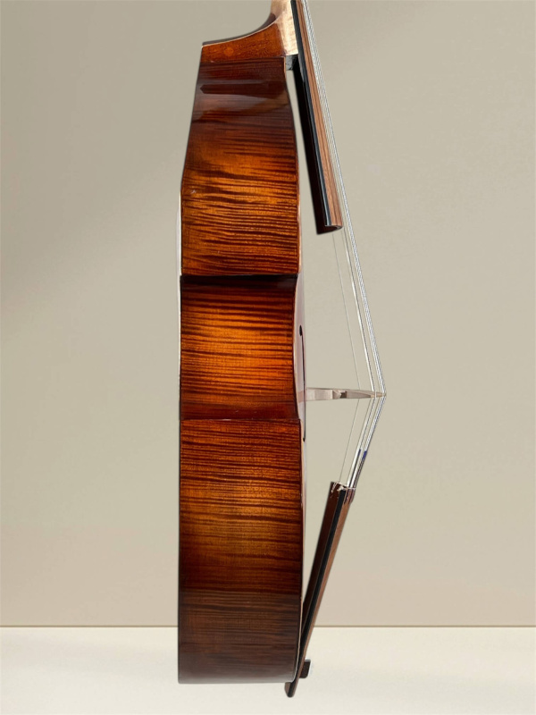 Preview: Bass Viola da Gamba 7-saitig nach Michel Colichon – Klangkörper seitenansicht