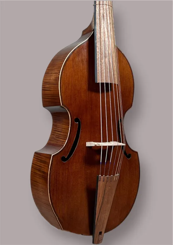 7-saitige Bassgambe nach Nicolas Bertrand gebaut 2024– Deckeansicht seitlich