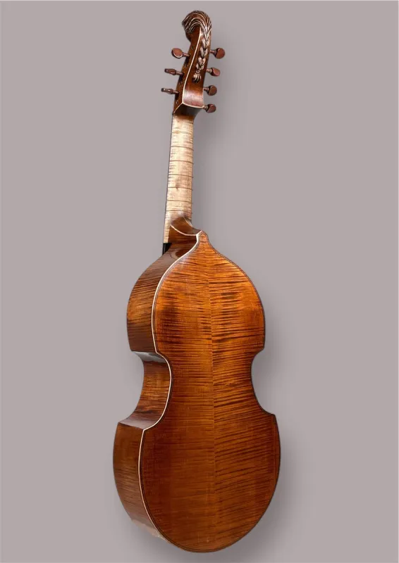 7-saitige Bassgambe nach Nicolas Bertrand gebaut 2024– Rückansicht seitlich