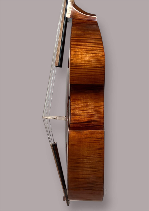 Preview: 7-saitige Bassgambe nach Nicolas Bertrand gebaut 2024– Zargeansicht