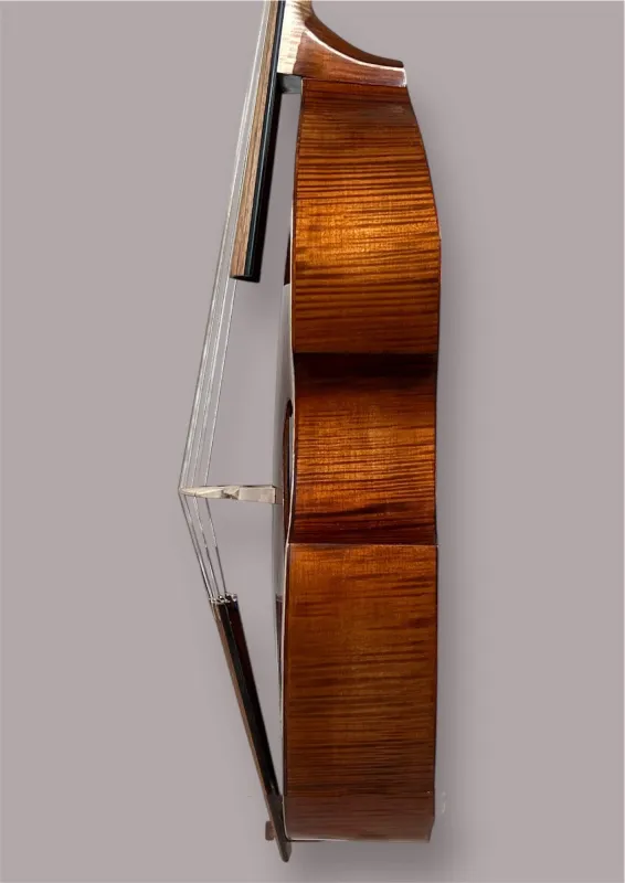 7-saitige Bassgambe nach Nicolas Bertrand gebaut 2024– Zargeansicht