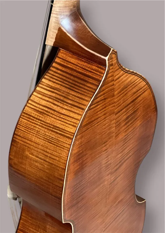 7-saitige Bassgambe nach Nicolas Bertrand gebaut 2024– Zargeansicht, Halsansatz