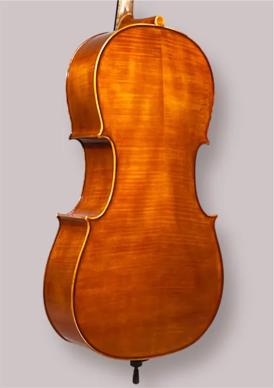 Bucur Ioan Professional 4/4 Linkshänder Cello 2025 (Nr. 2) – Bodenansicht seitlich