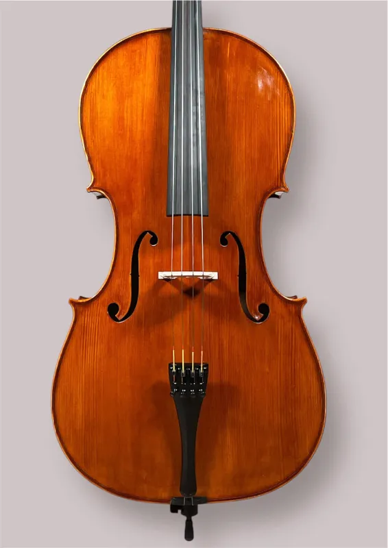 Bucur Ioan Professional 4/4 Linkshänder Cello 2025 (Nr. 2) – Deckeansicht