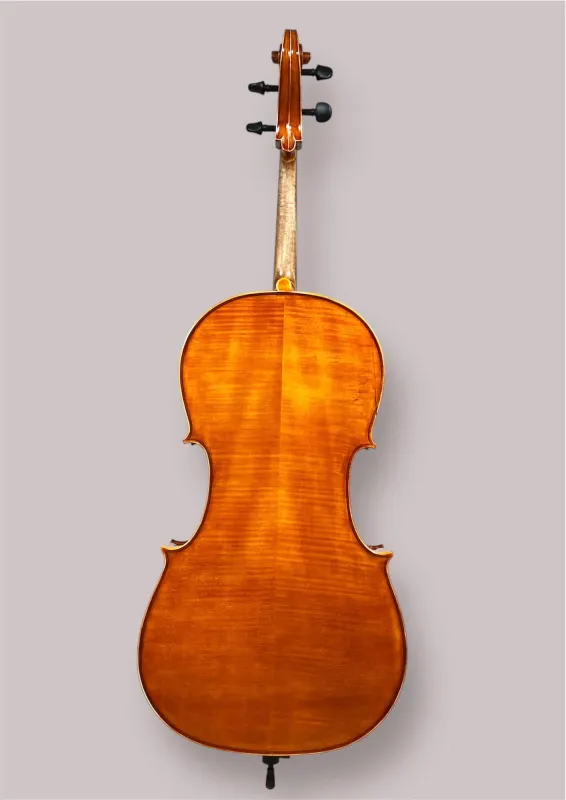 Bucur Ioan Professional 4/4 Linkshänder Cello 2025 (Nr. 2) – Rückansicht