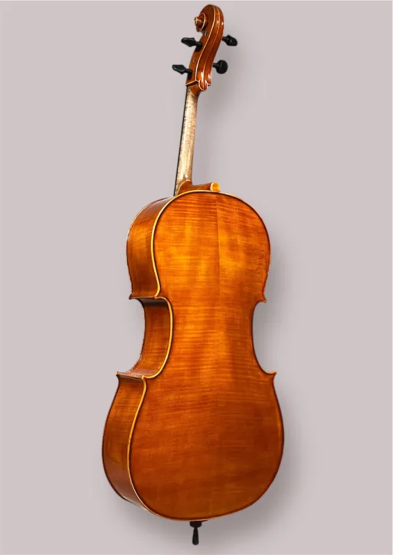 Bucur Ioan Professional 4/4 Linkshänder Cello 2025 (Nr. 2) – Rückansicht seitlich