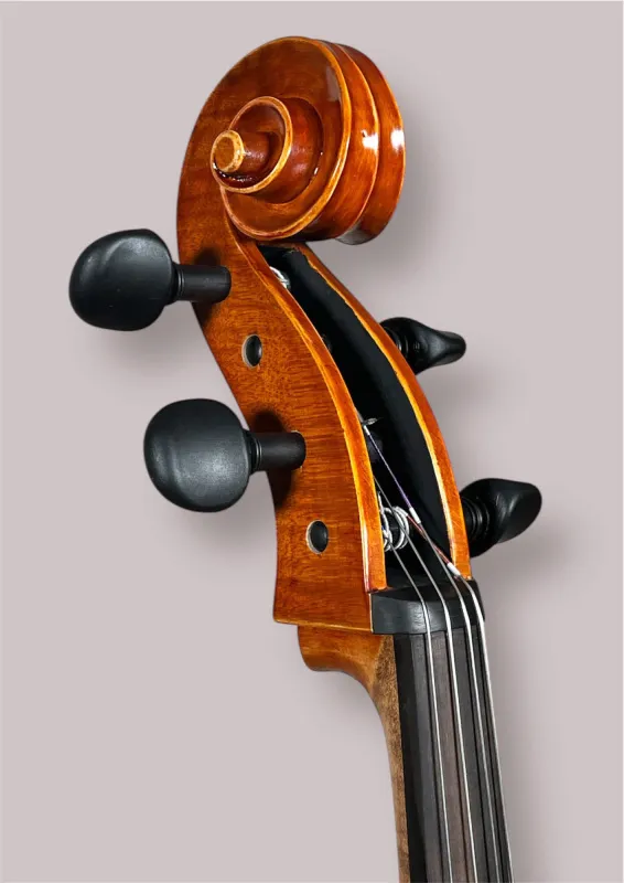 Bucur Ioan Professional 4/4 Linkshänder Cello 2025 (Nr. 2) – Schneckeansicht vorne seitlich