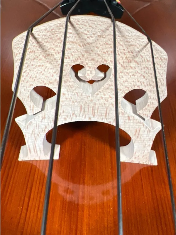 Bucur Ioan Professional 4/4 Linkshänder Cello 2025 (Nr. 2) – Stegansicht