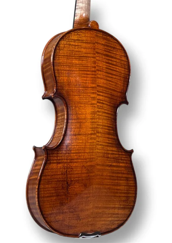 Professional Violine Butiu Cornel Stradivari Modell 2024 -Boden-Zargeansicht