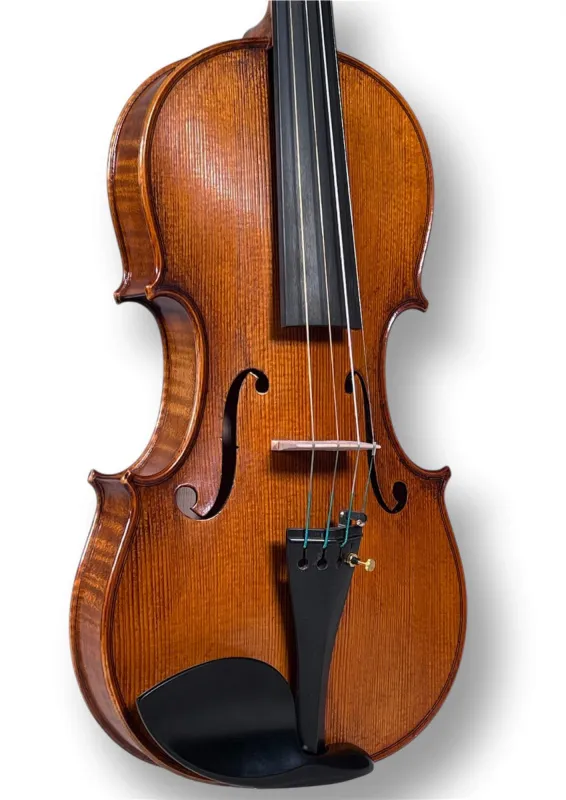 Professional Violine Butiu Cornel Stradivari Modell 2024 -Decke-Zargeansicht