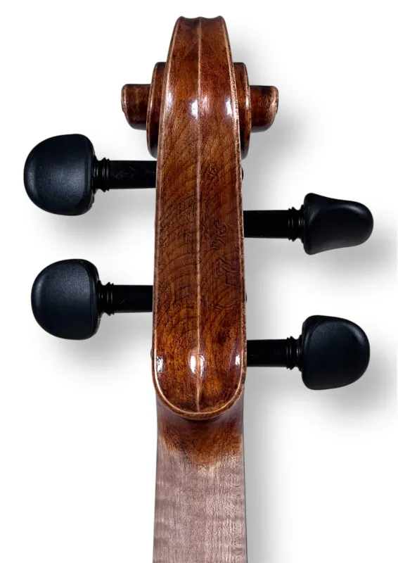 Professional Violine Butiu Cornel Stradivari Modell 2024 -Schneckeansicht von hinten