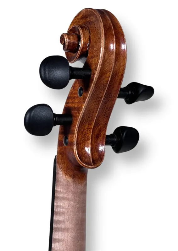 Professional Violine Butiu Cornel Stradivari Modell 2024 -Schneckeansicht von hinten seitlich