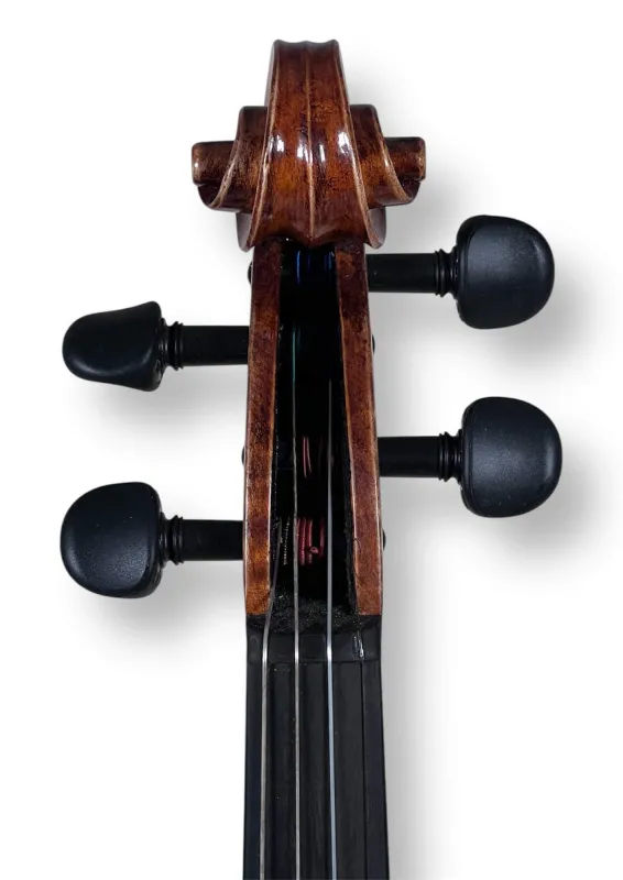 Professional Violine Butiu Cornel Stradivari Modell 2024 -Schneckeansicht von vorne