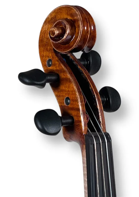Professional Violine Butiu Cornel Stradivari Modell 2024 -Schneckeansicht von vorne seitlich