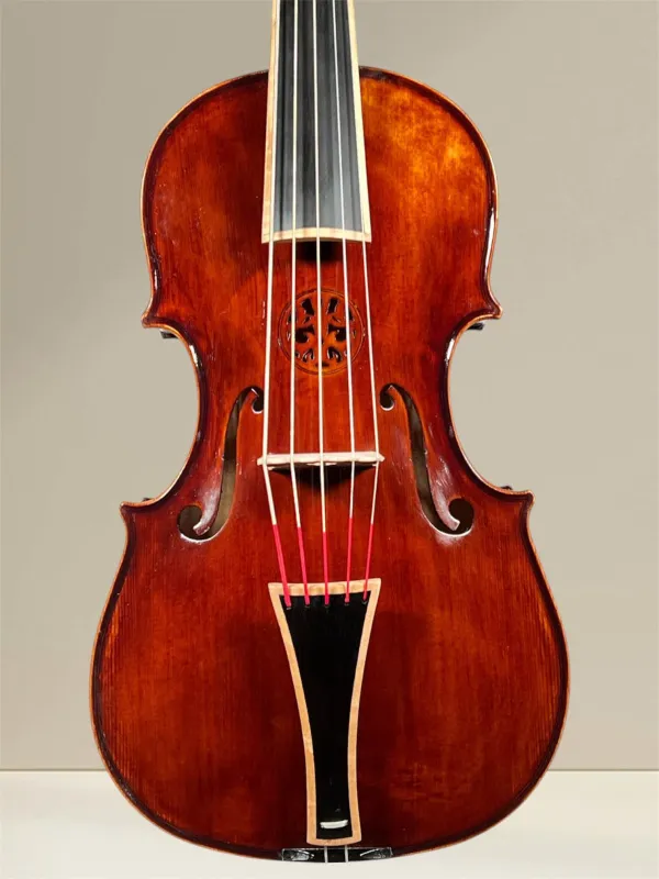 Cello da Spalla, viola Pompoza – handgefertigt von Simon Csaba 2025, Siebenbürgen – Deckenansicht