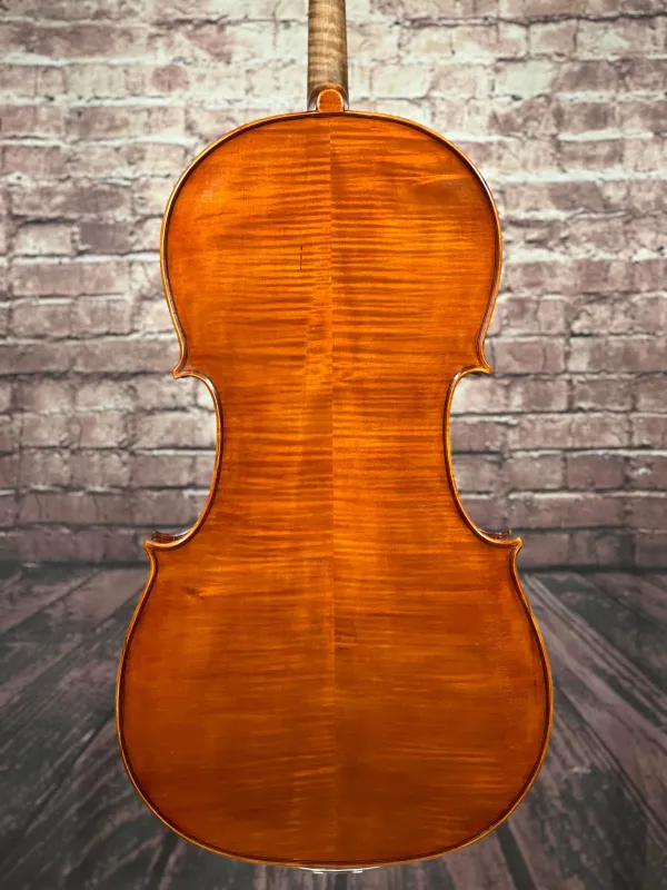 Boden-Detailansicht eines nicht spielfertiges Cello (Violoncello) Handarbeit 2022