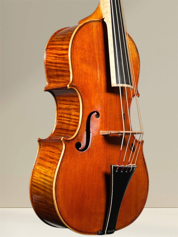 Preview: Simon Joseph 5Saiter Cello (Violoncello) da Spalla oder Viola (Bratsche) Pomposa_Decken-Seitenansicht