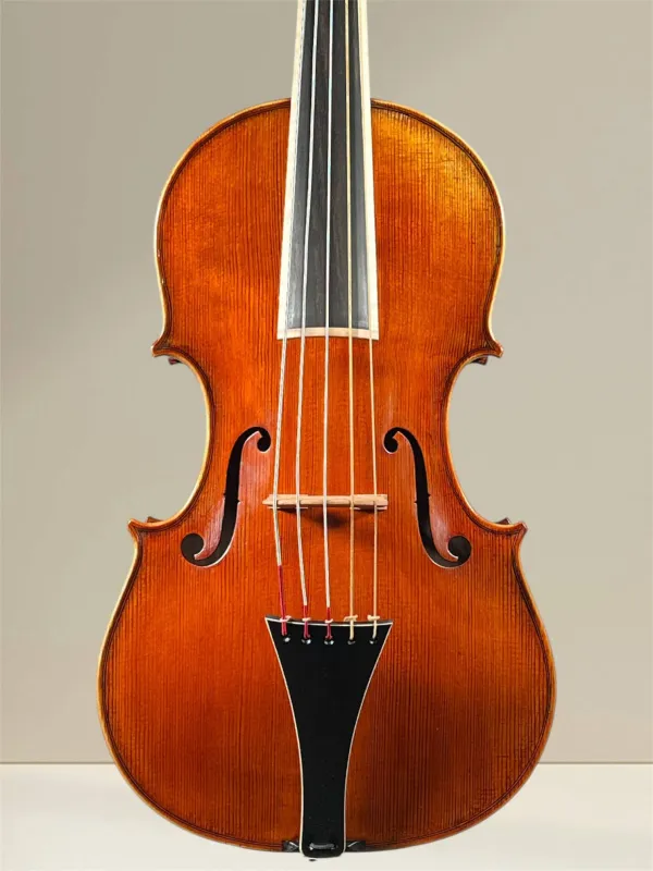 Simon Joseph 5Saiter Cello (Violoncello) da Spalla oder Viola (Bratsche) Pomposa_Deckenansicht