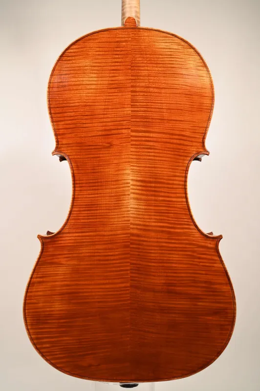 Simon Joseph 4/4 Meister Cello, Guarnerius 5Saiter Modell gebaut 2023_Bodenansicht