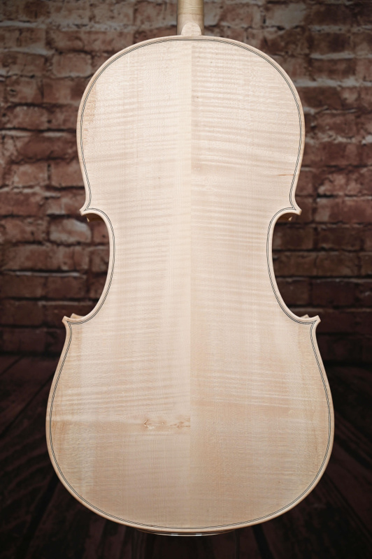 Preview: Bodenansicht eines Reghino \