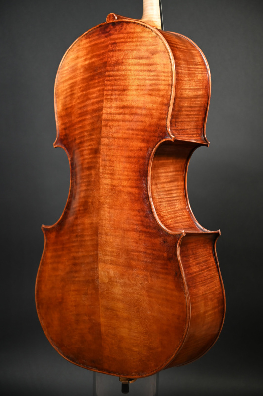 Preview: Boden-Zargeansicht - Robert Blaszauer Cello (Violoncello) Modell Goffriller gebaut 2005, Handarbeit aus Budapest