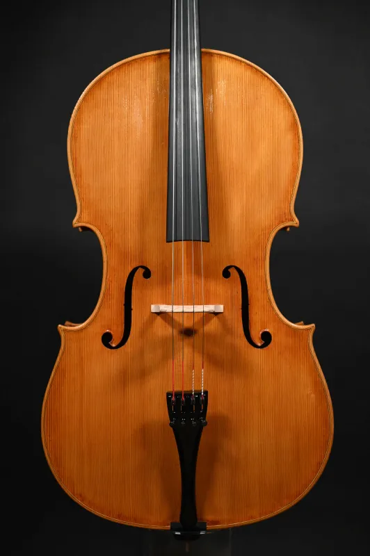 Deckenansicht eines Kalas Csaba "Caribbean" 4/4 Meister Cello (Violoncello) nach Montagnana "Sleeping Beauty" Handarbeit 2022