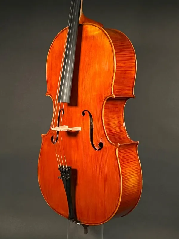 Decken-Zarge-Detailansicht einer Simon Joseph Montagnana Cello (Violoncello) Handarbeit 2020