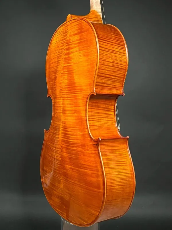 Boden-Zarge-Detailansicht eines Reghino 5Saiter Cello Piccolo Handarbeit 2021