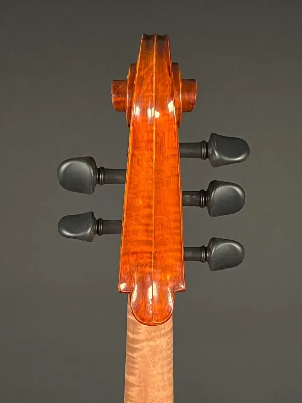 Schnecke- von hinten -Detailansicht eines Reghino 5Saiter Cello Piccolo Handarbeit 2021