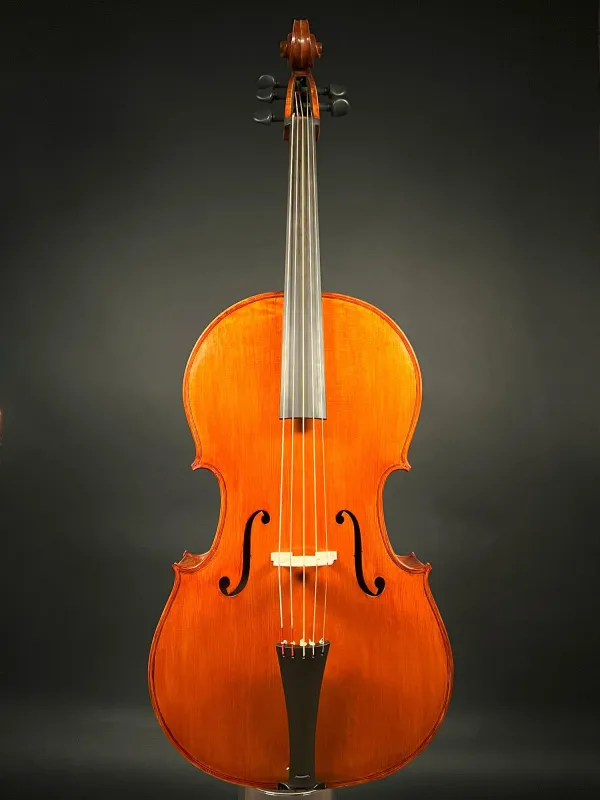 Vorder-Detailansicht eines Reghino 5Saiter Cello Piccolo Handarbeit 2021