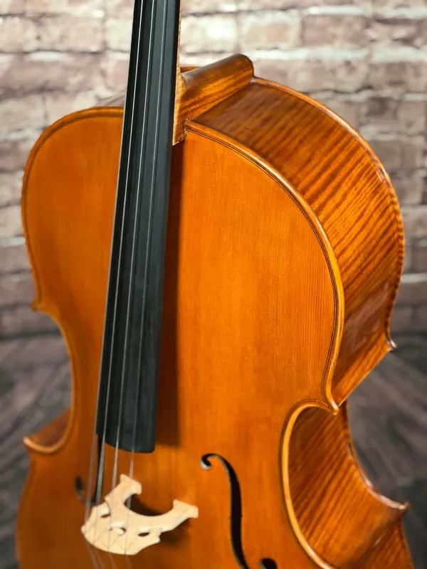 Halsansatz-vorne-Detailansicht eines Harsan Mihai nach Francesco Ruggeri Cello (Violoncello) Handarbeit 2018