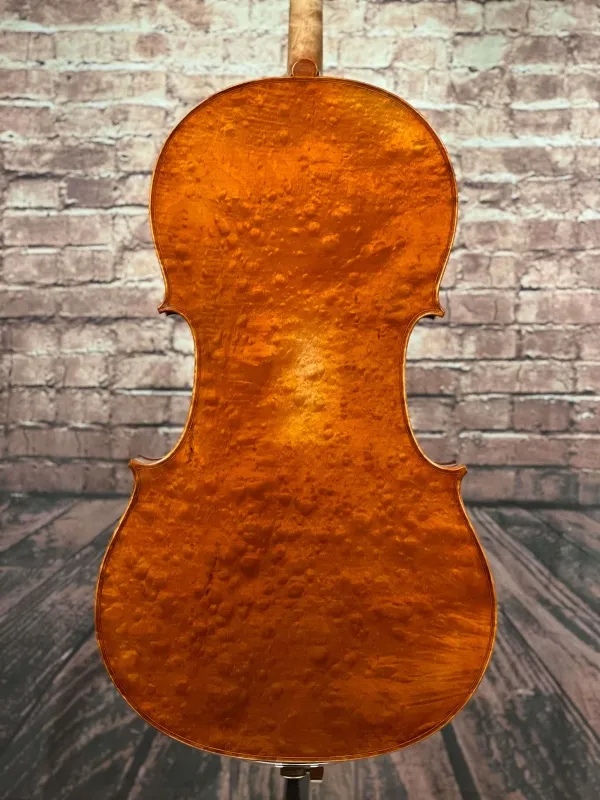 Boden-Detailansicht eines Györke Francisc "di Bottega" Orchester Cello (Violoncello) Handarbeit 2018