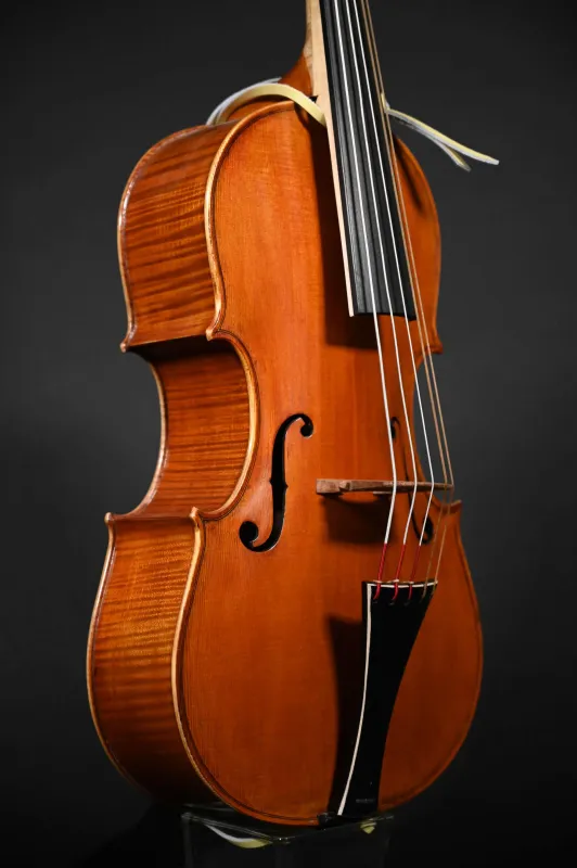 Simon Joseph 5Saiter Cello (Violoncello) da Spalla oder Viola (Bratsche) Pomposa_Decken-Seitenansicht