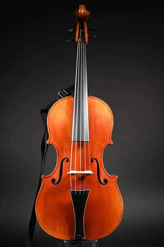 Front-Detailansicht eines Simon Joseph Cello da Spalla (Viola Pomposa) Handarbeit aus Siebenbürgen gebaut 20212