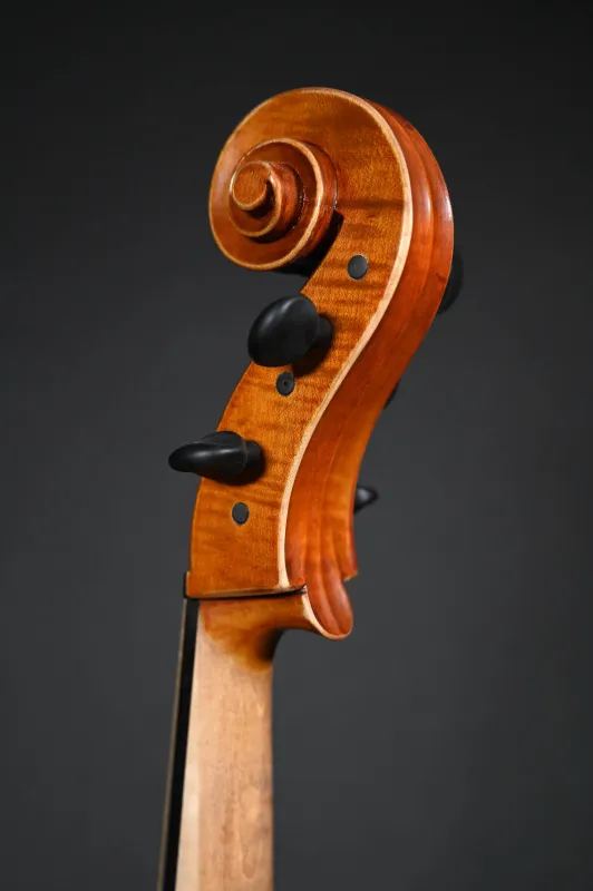 Simon Joseph 5Saiter Cello (Violoncello) da Spalla oder Viola (Bratsche) Pomposa_Schneckenansicht-hinten-seitlich