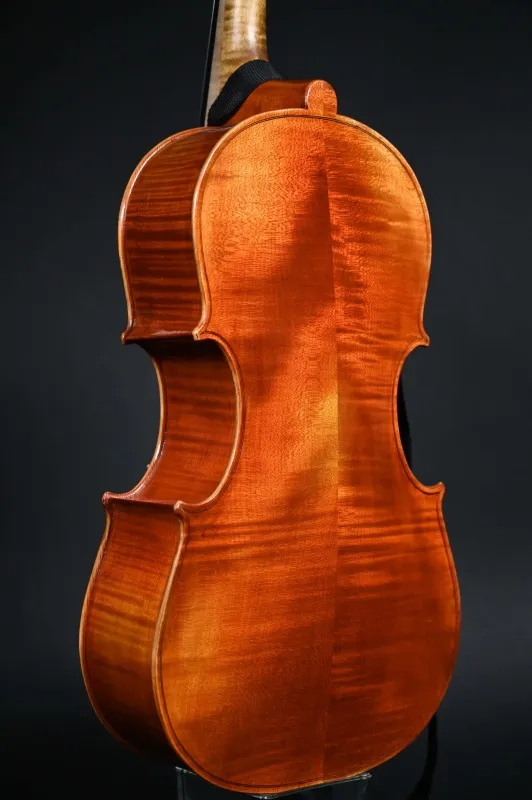 Boden-Zarge-Detailansicht eines Simon Joseph Cello da Spalla (Viola Pomposa) Handarbeit aus Siebenbürgen gebaut 2022