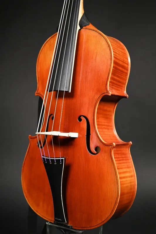Decke-Zarge-Detailansicht eines Simon Joseph Cello da Spalla (Viola Pomposa) Handarbeit aus Siebenbürgen gebaut 2022