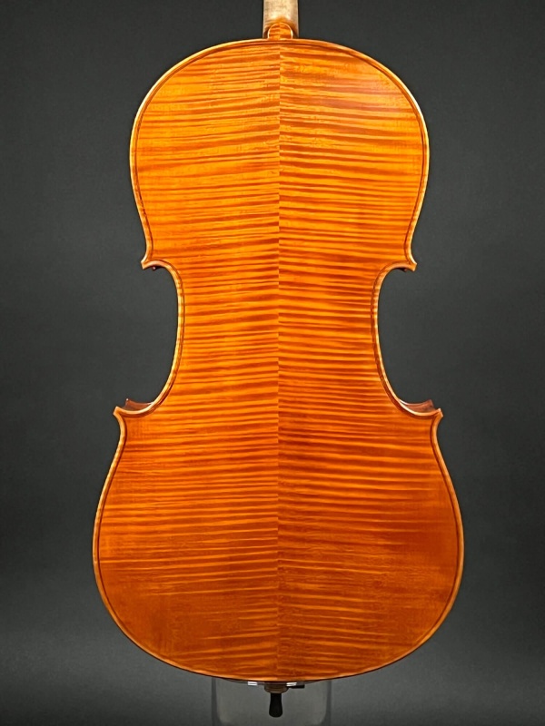 Preview: Boden-Detailansicht eines Mare Claudiu \