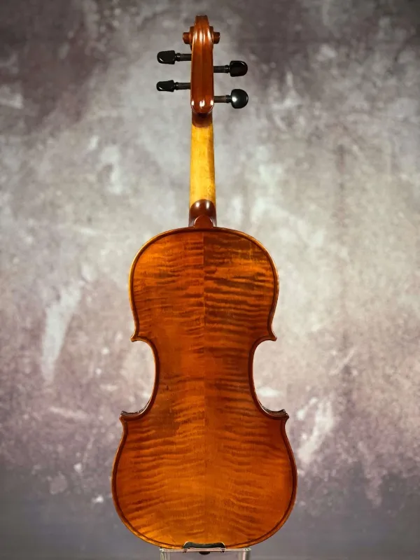 Boden-Detailansicht einer Alfred Stingl by Höfner 4/4 Geige (Violine) AS-200-V4/4